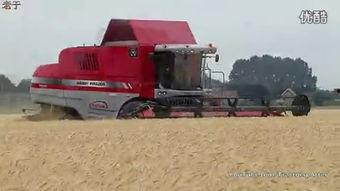 国产最新收割机视频播放,视频揭秘高效农业新利器