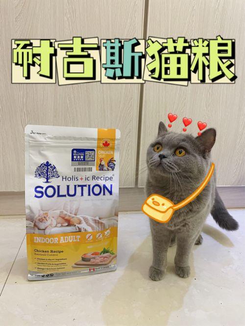 国产猫粮老王是谁啊视频,探寻品牌背后的故事