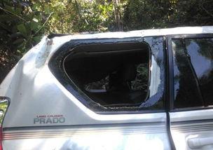 国产车掉下悬崖视频播放,惊心动魄的瞬间回顾