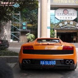 街拍视频国产车,街拍视频中的时尚与实力