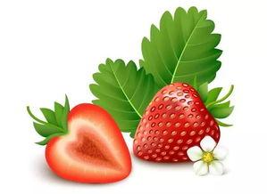 草莓视频1000国产,跨越千国，共赏全球精彩瞬间