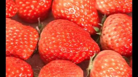 草莓视频1000国产,跨越千国，共赏全球精彩瞬间