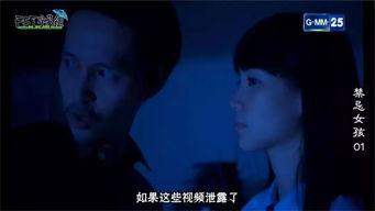 国产18禁小视频,揭秘国产18禁小视频的隐秘世界