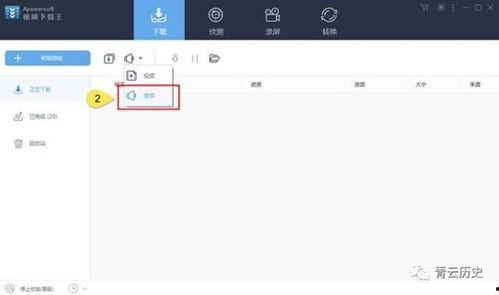 国产足底视频软件