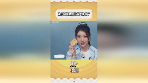 沈小婷国产综艺视频,国产综艺新秀的闪耀时刻