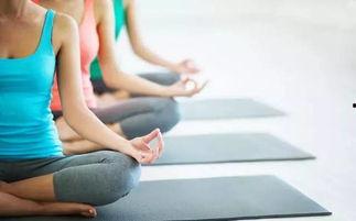 国产精品健身瑜伽视频,探索国产精品健身瑜伽视频的魅力之旅