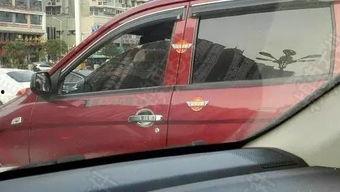 国产神车国外行驶视频