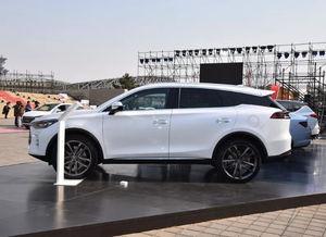 国产车动态提速视频播放,速度与激情的视觉盛宴