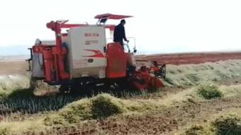 国产收割机烂田视频大全,烂田挑战下的性能解析