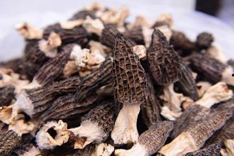 国产羊肚菌产品介绍视频,大自然的馈赠与美味之旅