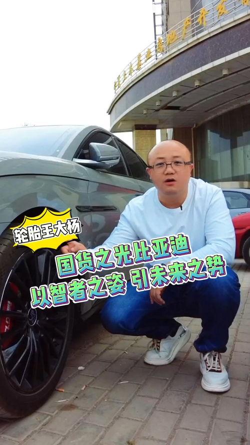 在欧洲偶遇国产车视频