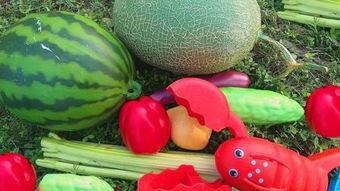 国产水果素菜动漫视频大全,趣味盎然，营养满满