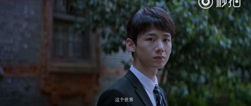 桑叶国产版剧集介绍视频,穿越时空的奇幻之旅