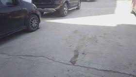 国产车玻璃安装视频,专业视频教学，轻松掌握安装技巧