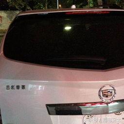 国产伪豪车视频大全集,视频大全集深度解析  第3张