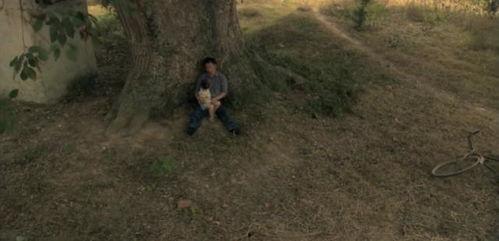 国产乱子伦视频剧情,国产悬疑爱情剧的惊悚揭秘  第3张